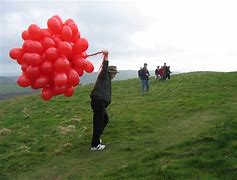 Image result for Goldilocks Chasing Balloon Me and You Anthony Browne
