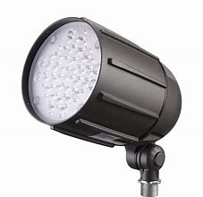 Image result for Outdoor LED Flood Light Bulbs