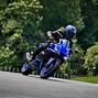 Image result for Yamaha YZF R3 ABS