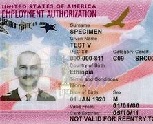 Image result for Us Work Permit