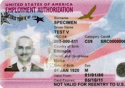 Image result for VALIDUS Work Permit