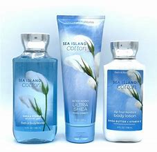 Image result for Bath and Body Works Blue Lotion
