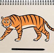 Image result for Tiger Drawing Kit
