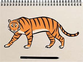 Image result for Hand Drawn Tiger