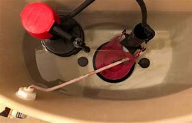 Image result for Dual Flush Button From Reese