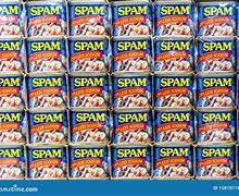 Image result for Can of Spam Image