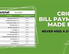 Image result for Pay My Bill Online Cricket