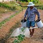 Image result for El Agricultor En Espera Del Fruto