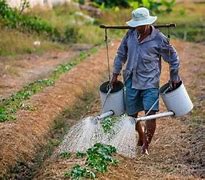 Image result for Adubar Agricultor