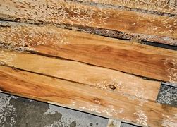Image result for Apple Wood Lumber