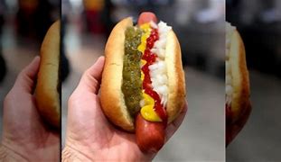 Image result for Literal Hot Dog