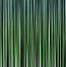 Image result for Abstract Green Stripes