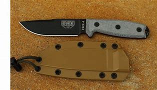 Image result for ESEE-6