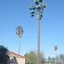 Image result for Small Cell Phone Tower