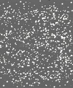 Image result for White Specks On Black Background