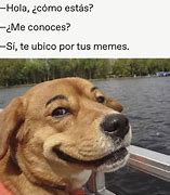 Image result for Como Estas Meme