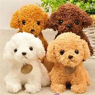 Image result for Teething Toys Small Dog