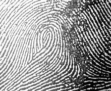 Image result for Child Fingerprints