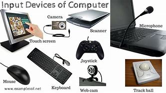 Image result for Computer Input Devices