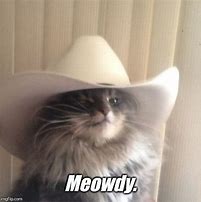 Image result for Meowdy Cat Meme