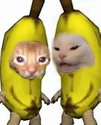 Image result for Banana Cat Meme Matchy