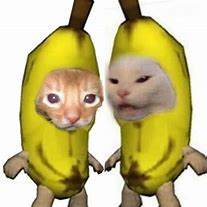 Image result for Bannana Cat Meme Art