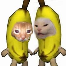 Image result for Cat Banana Costume Meme