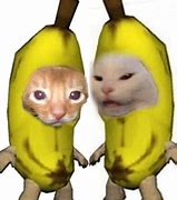 Image result for Cat in a Banana Suit Meme
