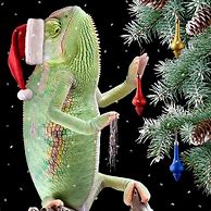 Image result for Christmas Lock Screen Wallpaper Lizard Anamated