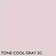 Image result for Cool Gray 2C