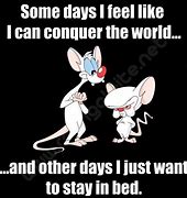 Image result for Pinky and the Brain Coffee Creamer Meme