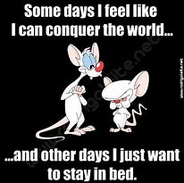 Image result for Pinky and Brain Meme