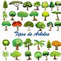 Image result for Tipos De árboles