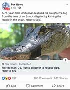 Image result for Florida Man Gator Meme