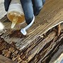Image result for Wood Rots and Collapses
