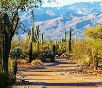 Image result for Tucson Arizona Tourist Attractions