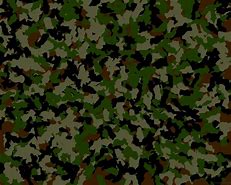 Image result for Green Camo Man's Watch