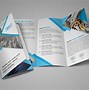 Image result for Sample of Brochure Template