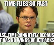 Image result for How Long Do Flies Live