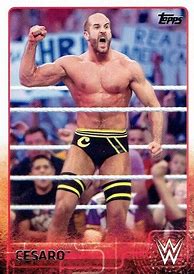 Image result for Wrestling Card Background
