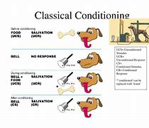 Image result for Example of Classical Conditioning