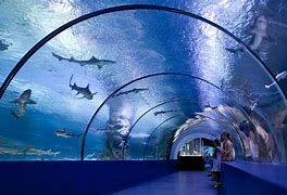 Image result for Osaka Aquarium Kaiyukan