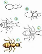 Image result for How to Draw Insects