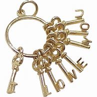 Image result for Gold Key Ring for Keys