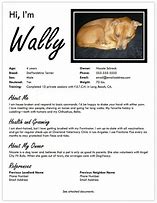 Image result for Dog Profile Template