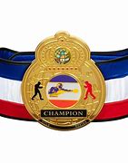 Image result for Real Heavyweight Belt