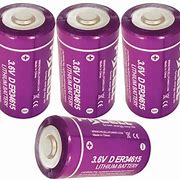 Image result for D Cell Lithium Battery