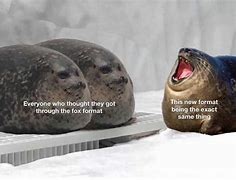 Image result for Broken Seal Meme