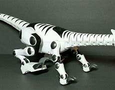 Image result for Roboreptile