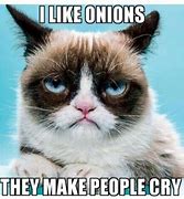 Image result for Grumpy Cat Gray Meme